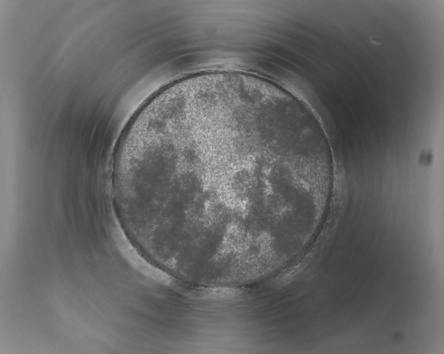 X0000112361090200909101250