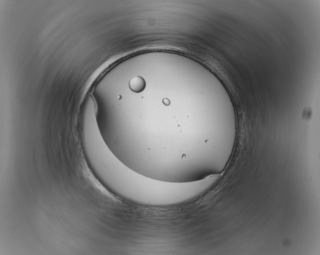 X0000112361092200909101250