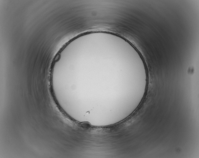 X0000112361093200909101250