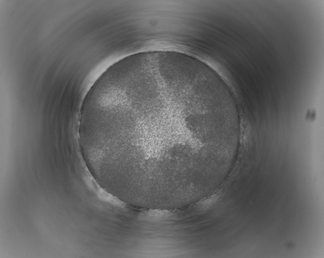 X0000112361094200909101250