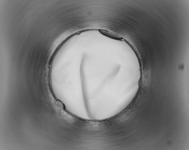 X0000112361096200909101250
