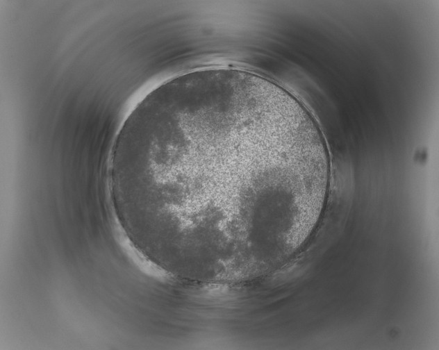 X0000112361098200909101250