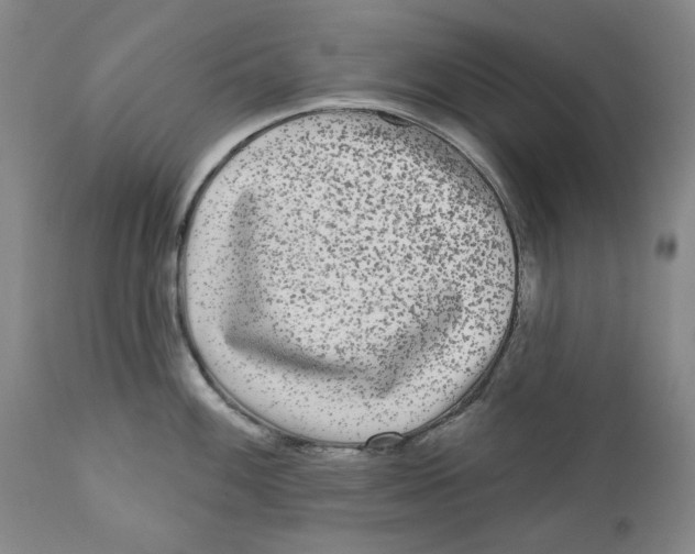X0000112361100200909101250