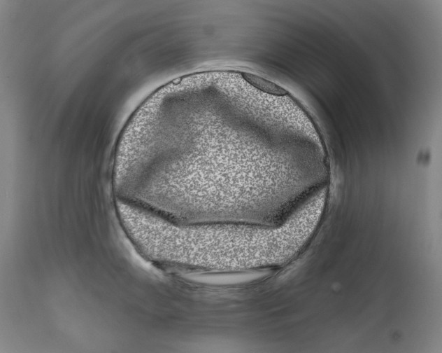 X0000112361102200909101250