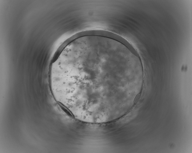 X0000112361104200909101250