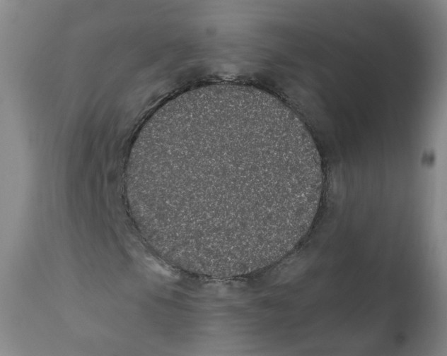 X0000112361105200909101249