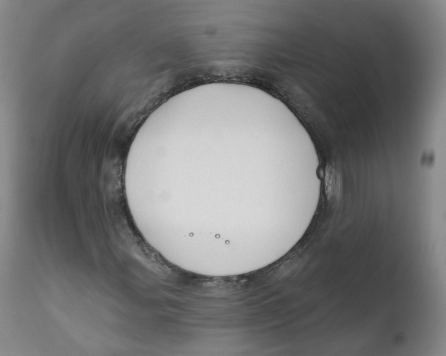 X0000112361107200909101249
