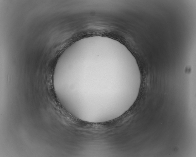 X0000112361109200909101249