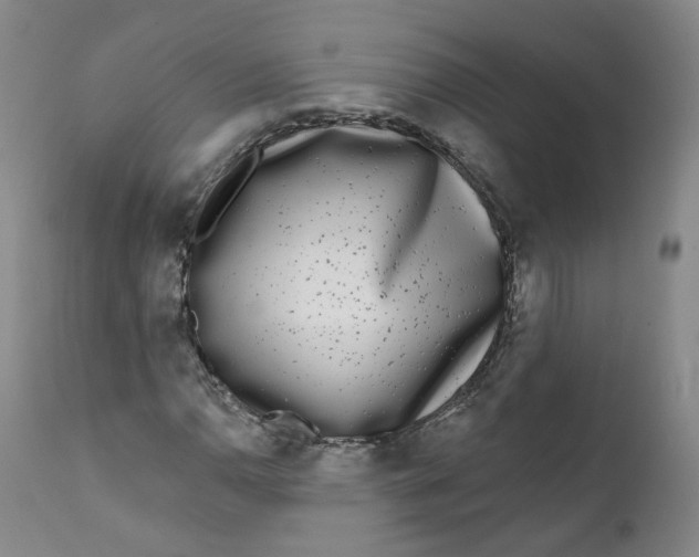 X0000112361110200909101249