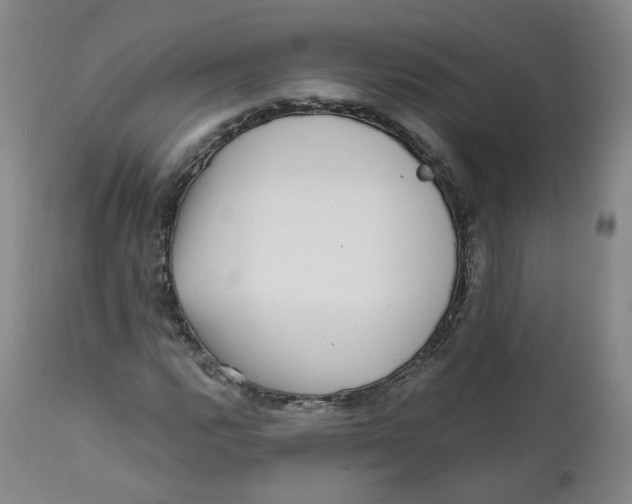 X0000112361112200909101249