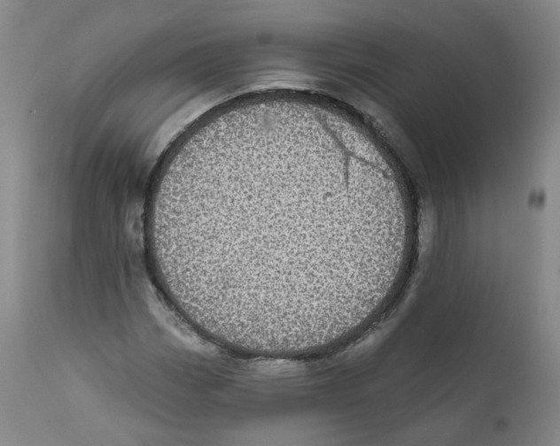 X0000112361113200909101249
