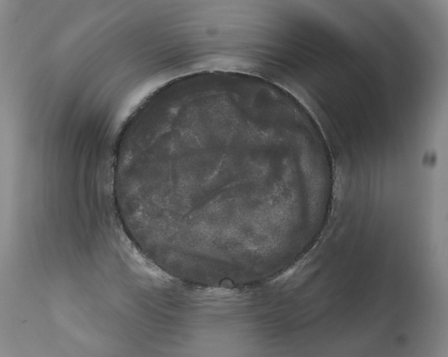 X0000112361115200909101249