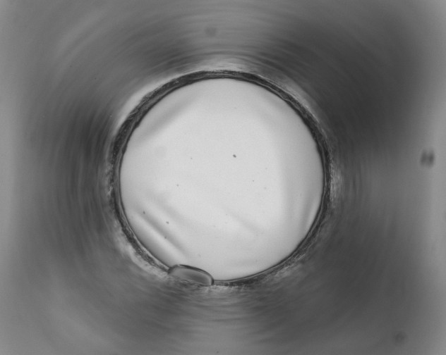 X0000112361116200909101249