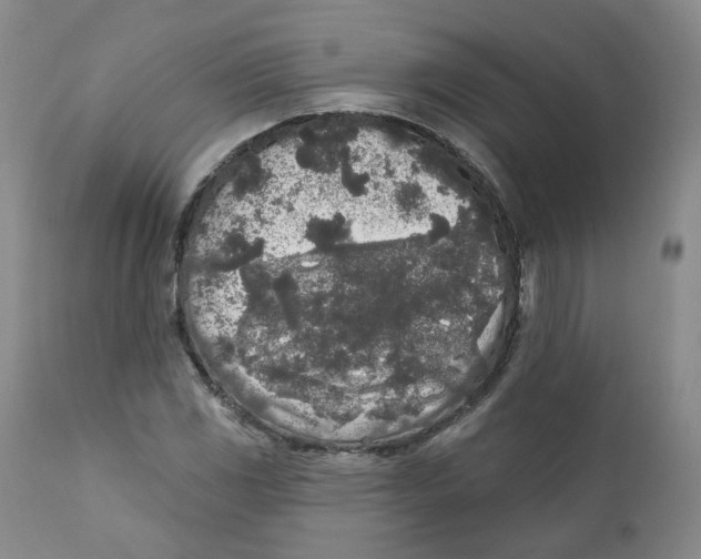 X0000112361117200909101249