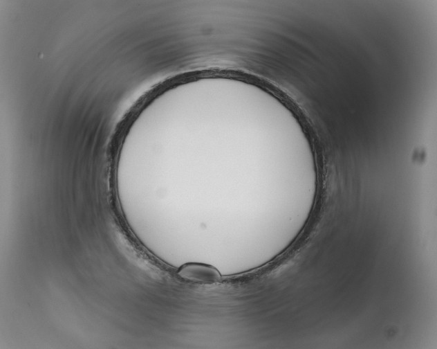 X0000112361118200909101249