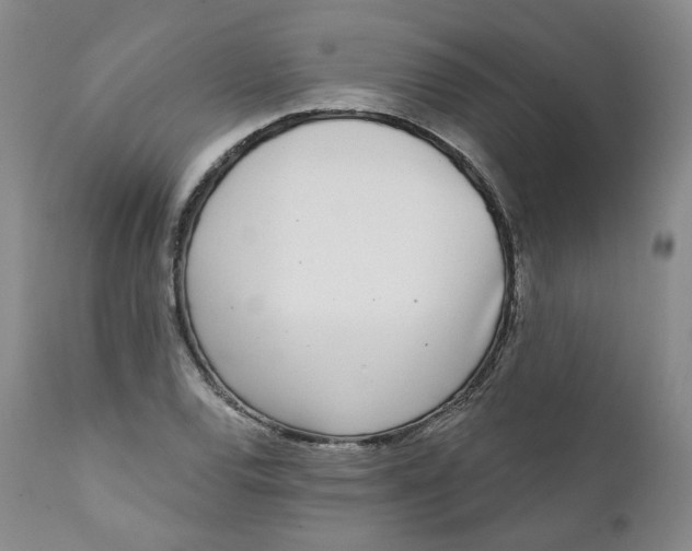 X0000112361120200909101249