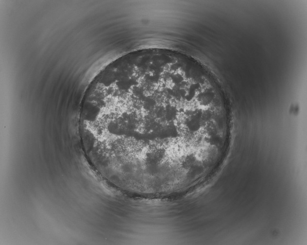 X0000112361121200909101249