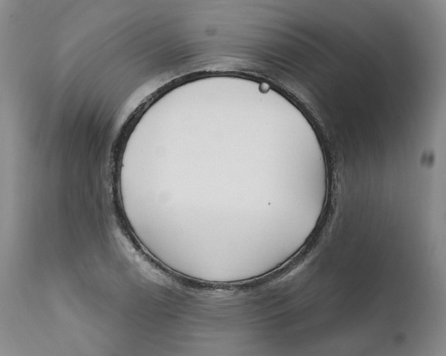 X0000112361122200909101249