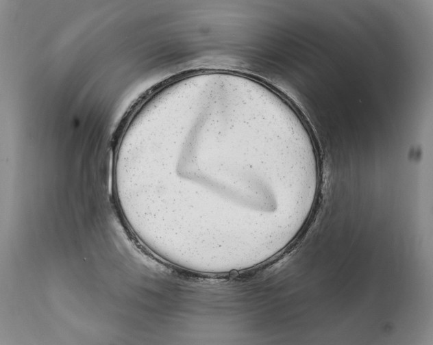 X0000112361123200909101249