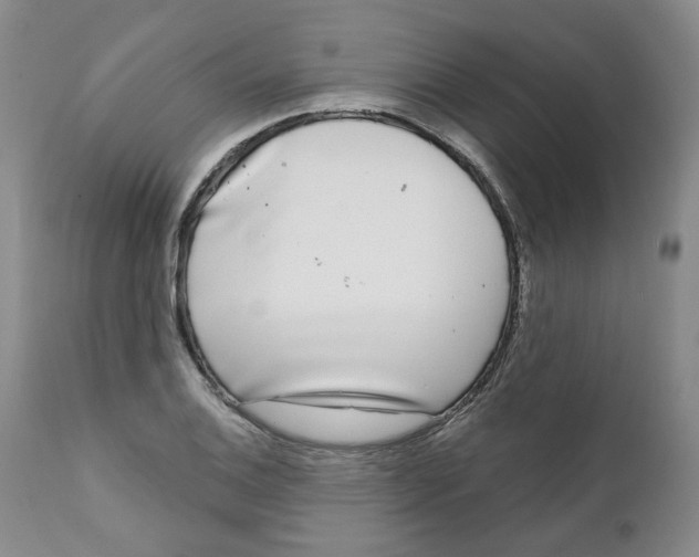 X0000112361124200909101249