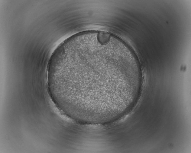 X0000112361125200909101249