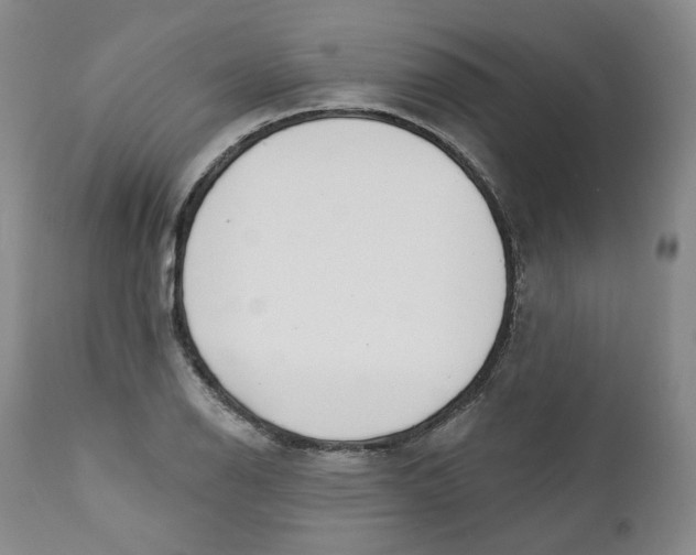 X0000112361126200909101249