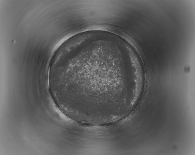 X0000112361127200909101250