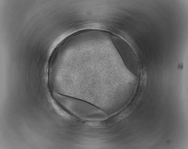 X0000112361128200909101250