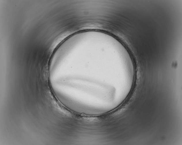 X0000112361129200909101250