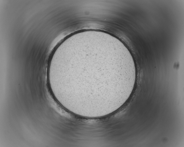 X0000112361130200909101250
