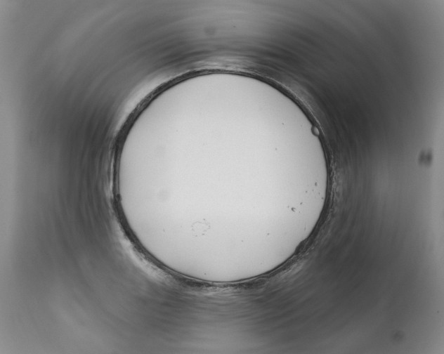 X0000112361131200909101250