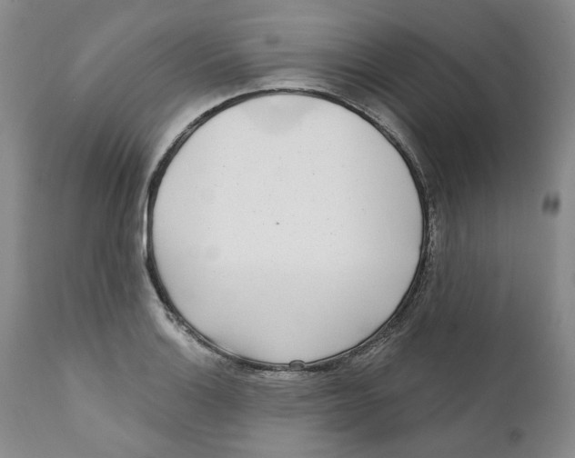 X0000112361132200909101250