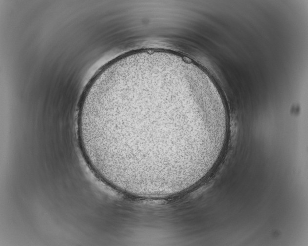 X0000112361133200909101250