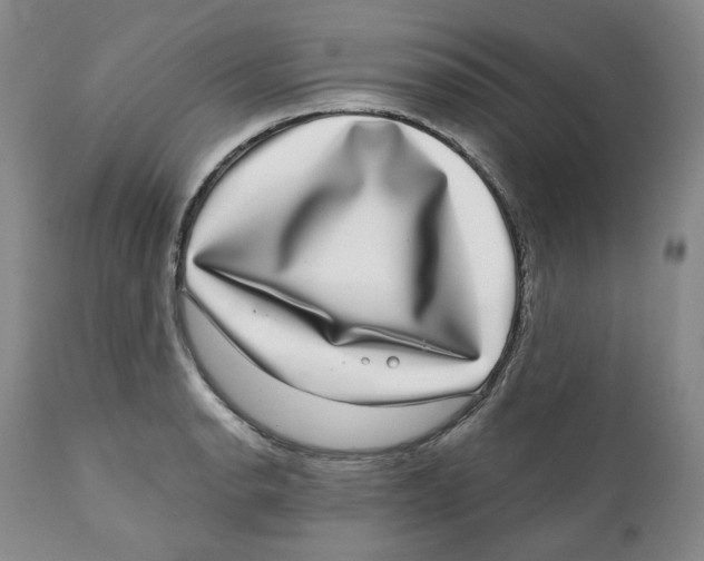 X0000112361134200909101250