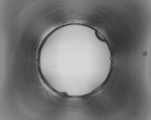 X0000112361135200909101250