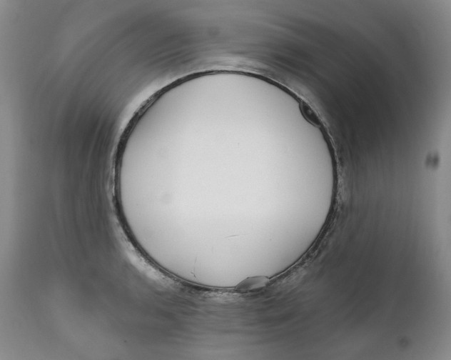 X0000112361136200909101250