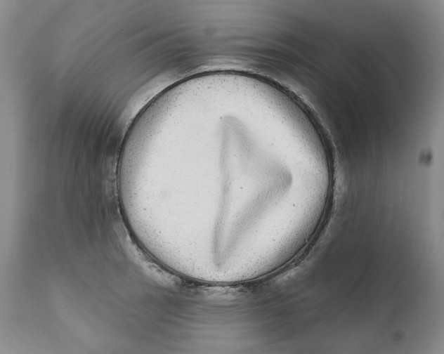 X0000112361137200909101250