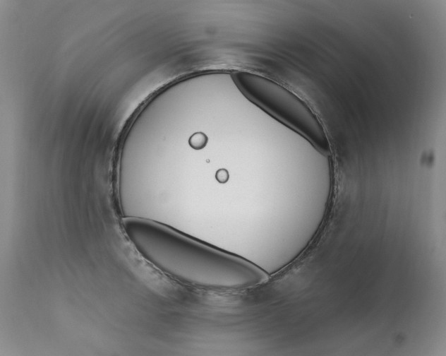 X0000112361138200909101250