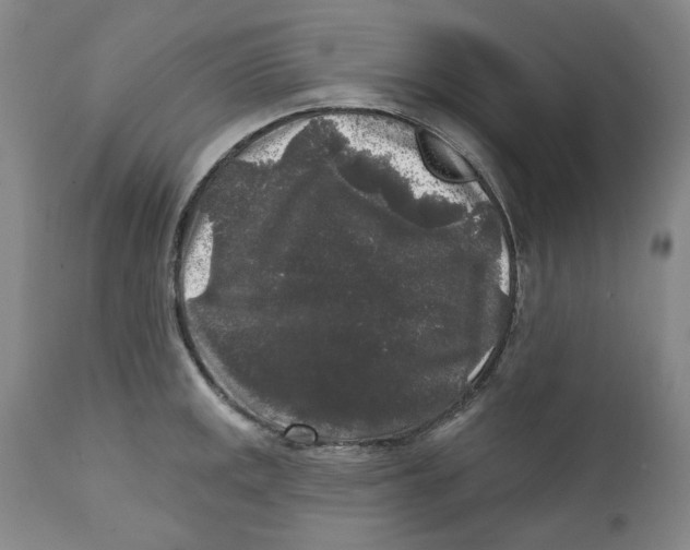 X0000112361141200909101250
