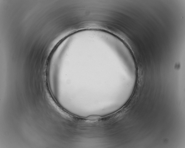 X0000112361142200909101250