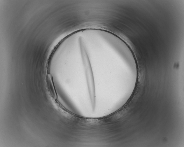 X0000112361144200909101250