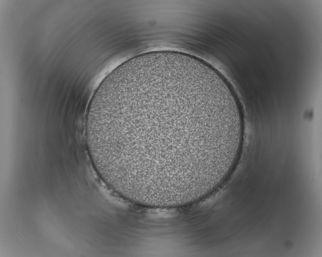 X0000112361145200909101250