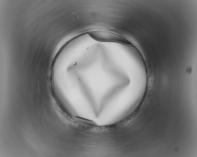 X0000112361146200909101250