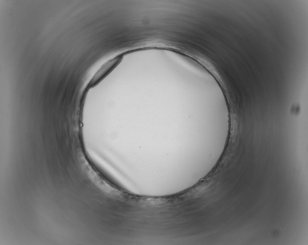 X0000112361148200909101250