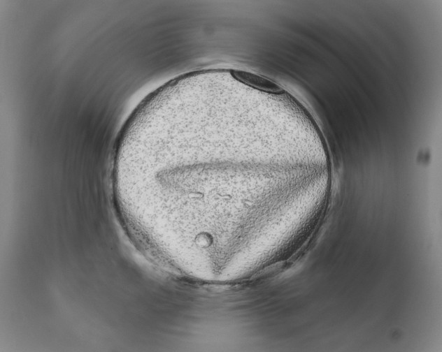 X0000112361149200909101250