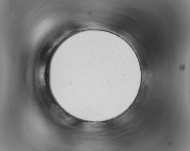 X0000112361150200909101250