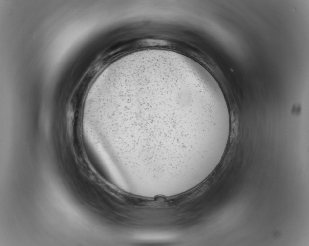 X0000112361151200909101250
