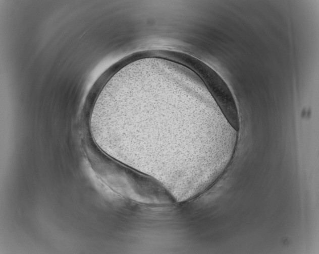 X0000112361152200909101250