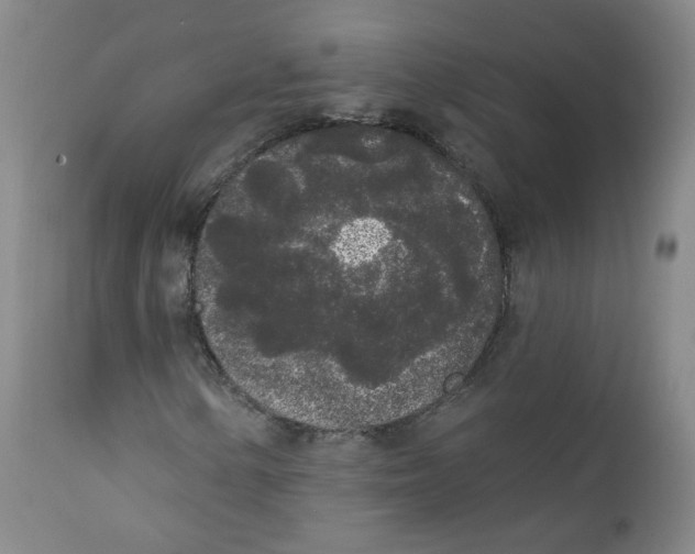 X0000112361154200909101249