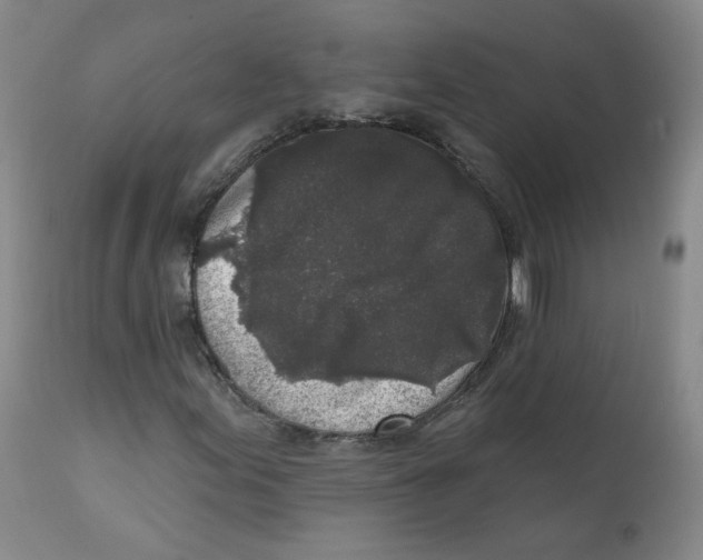 X0000112361155200909101249